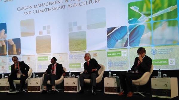 First International Conference Afro-Mediterranean Soils: Constraints and Potentialities for durable management- Marrakech- Morocco
